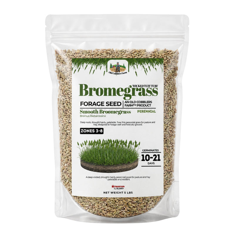 Wicked Tuff Turf Bromegrass Seed - Smooth - Old Cobblers Farm