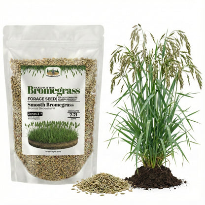 Wicked Tuff Turf Bromegrass Seed - Smooth