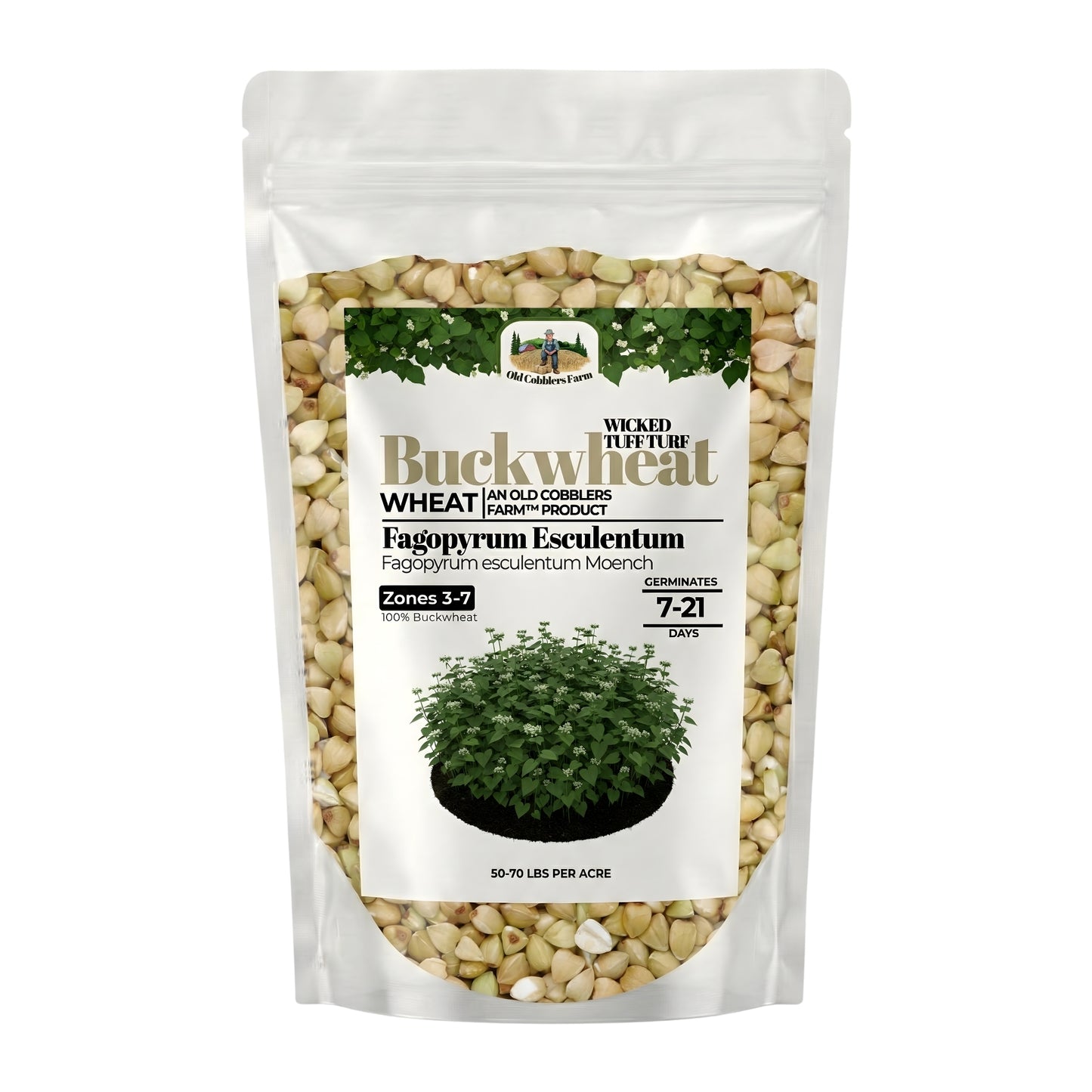 Wicked Tuff Turf Buckwheat Seed