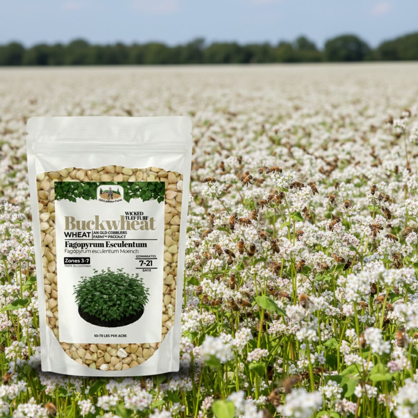 Wicked Tuff Turf Buckwheat Seed