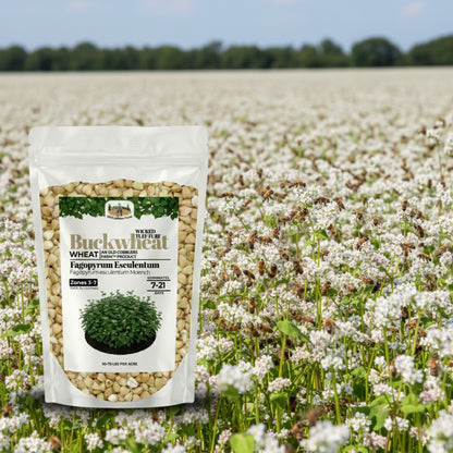 Wicked Tuff Turf Buckwheat Seed