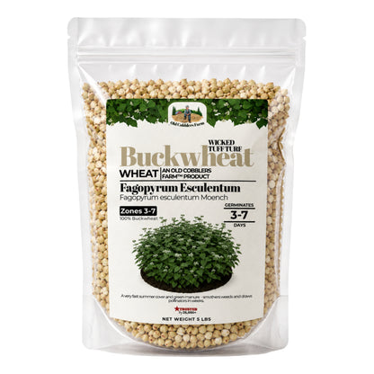 Wicked Tuff Turf Buckwheat Seed - Old Cobblers Farm