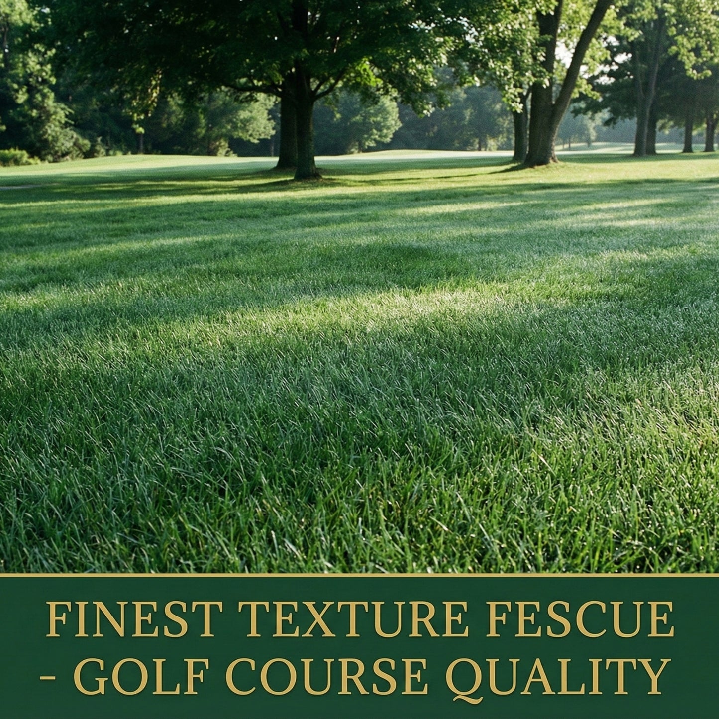 Wicked Tuff Turf Chewings Fescue Seed
