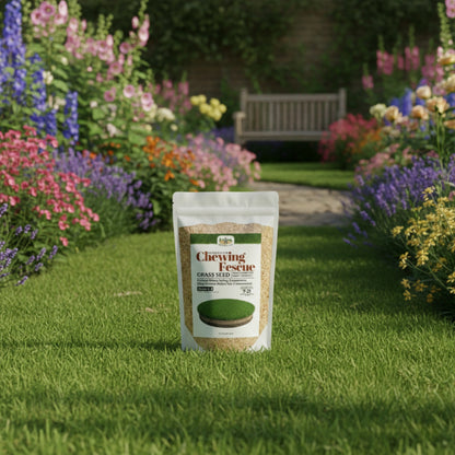 Wicked Tuff Turf Chewings Fescue Seed