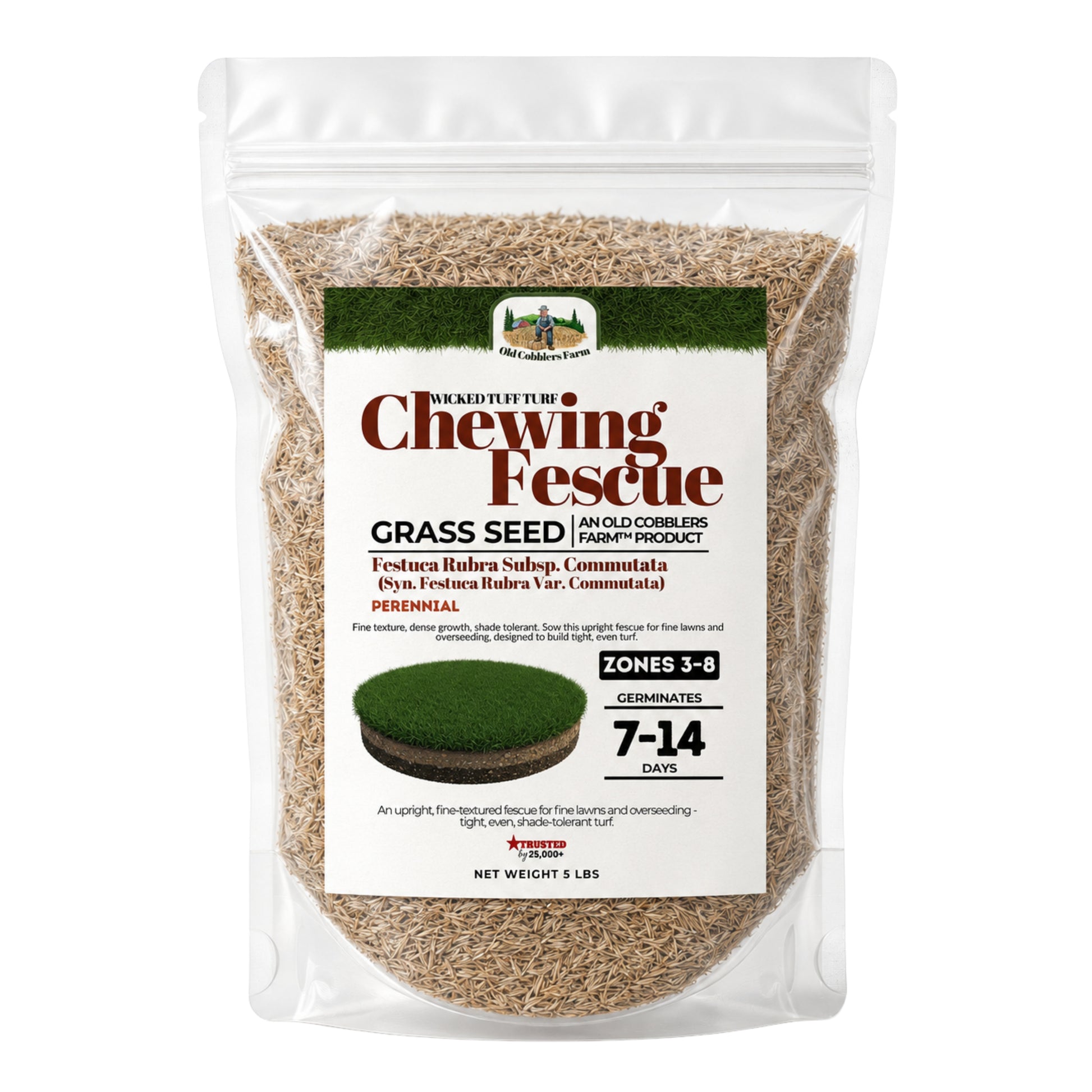 Wicked Tuff Turf Chewings Fescue Seed - Old Cobblers Farm