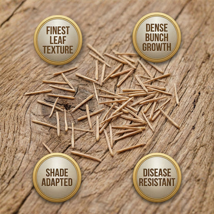 Wicked Tuff Turf Chewings Fescue Seed