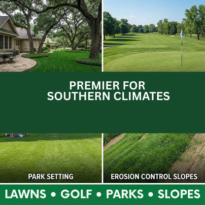 Wicked Tuff Turf Chewings Fescue Seed