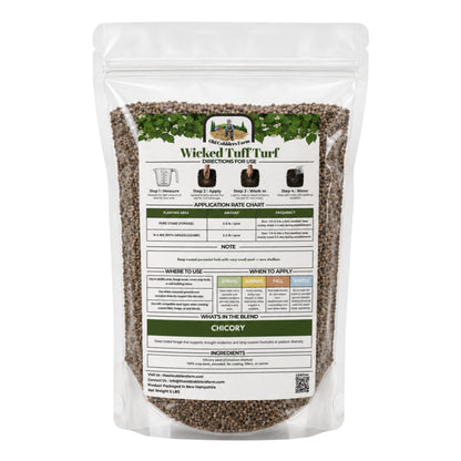 Wicked Tuff Turf Chicory Seed