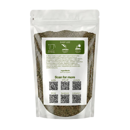 Wicked Tuff Turf Chicory Seed