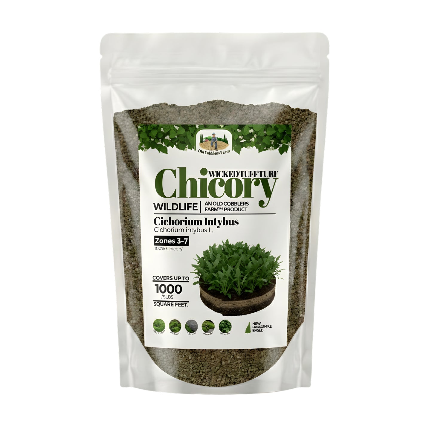 Wicked Tuff Turf Chicory Seed