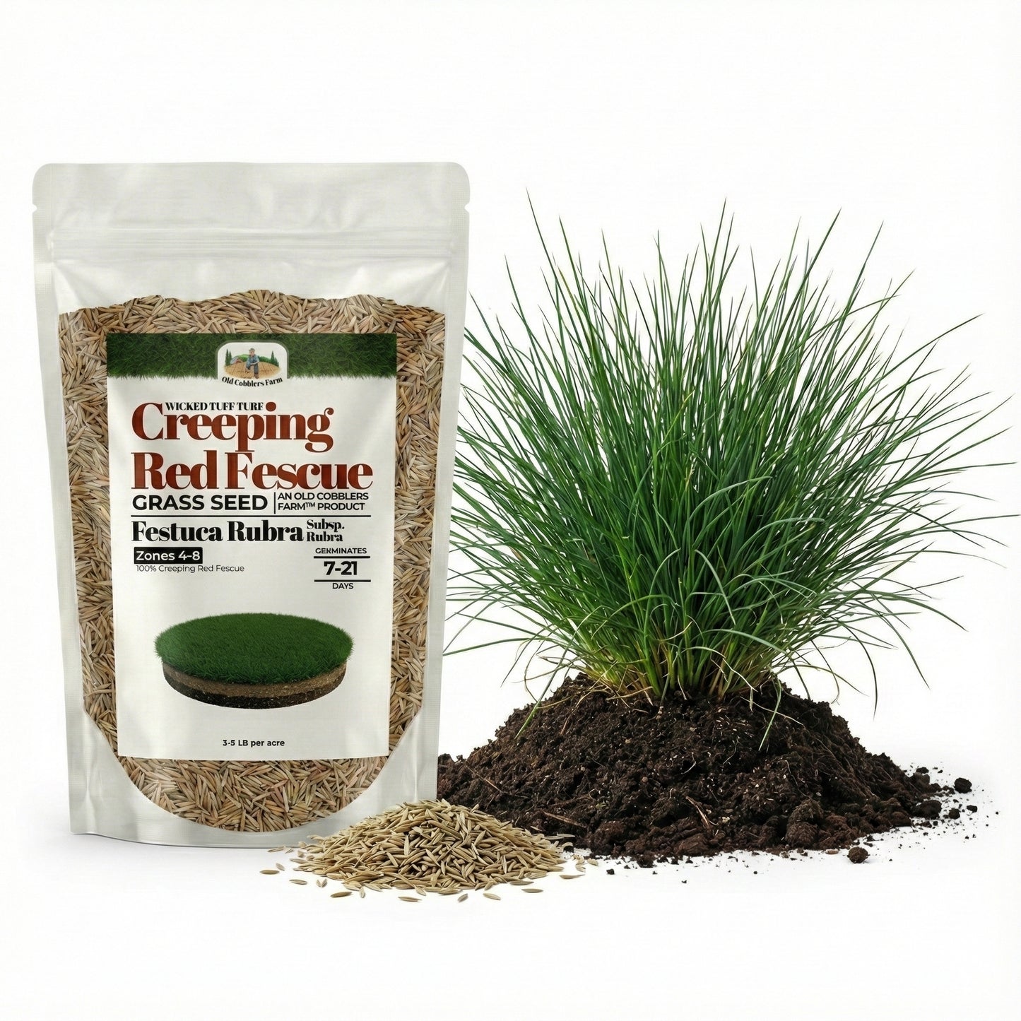 Wicked Tuff Turf Creeping Red Fescue Seed