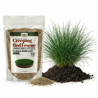 Wicked Tuff Turf Creeping Red Fescue Seed