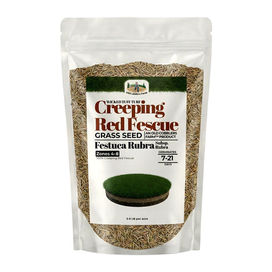 Wicked Tuff Turf Creeping Red Fescue Seed