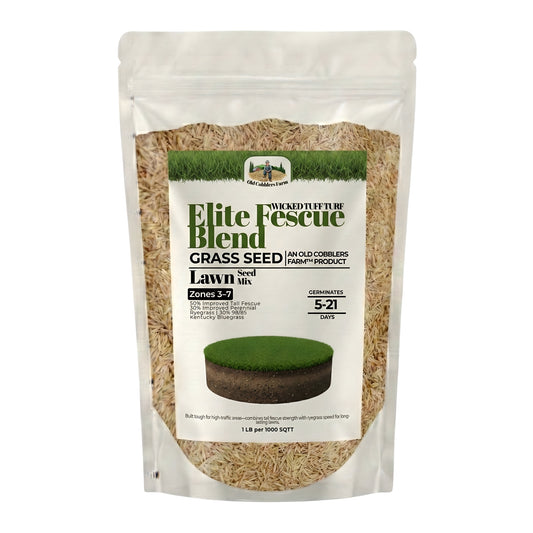 Wicked Tuff Turf Elite Fescue Blend Seed