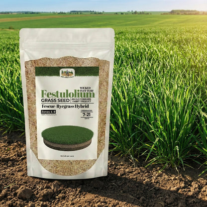 Wicked Tuff Turf Festulolium Seed