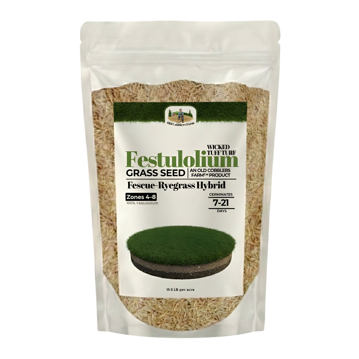 Wicked Tuff Turf Festulolium Seed