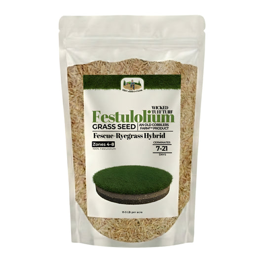 Wicked Tuff Turf Festulolium Seed