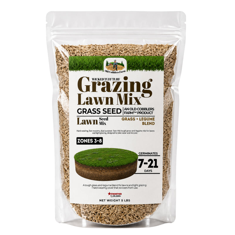 Wicked Tuff Turf Grazing Lawn Seed Mix - Old Cobblers Farm