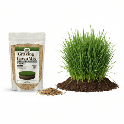 Wicked Tuff Turf Grazing Lawn Seed Mix