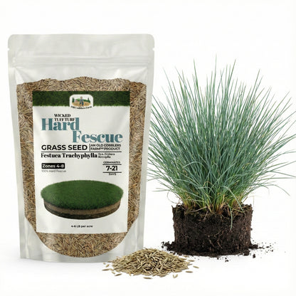 Wicked Tuff Turf Hard Fescue Seed