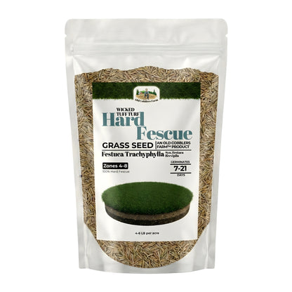 Wicked Tuff Turf Hard Fescue Seed