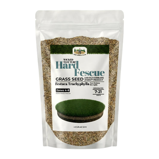 Wicked Tuff Turf Hard Fescue Seed