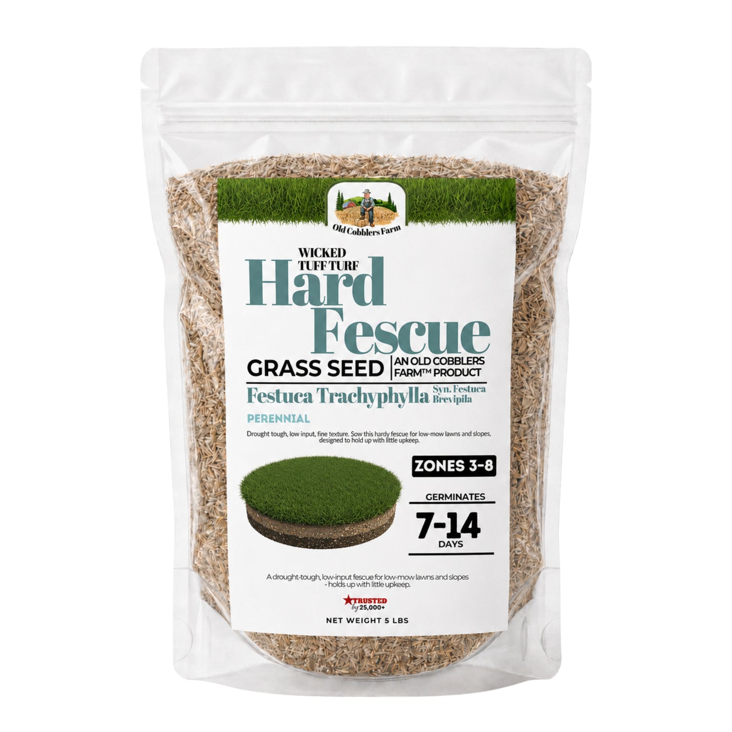 Wicked Tuff Turf Hard Fescue Seed - Old Cobblers Farm
