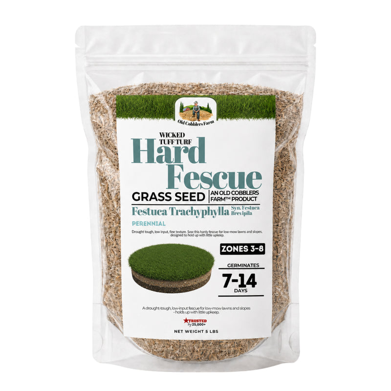 Wicked Tuff Turf Hard Fescue Seed - Old Cobblers Farm