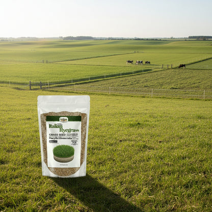Wicked Tuff Turf Italian Ryegrass Seed