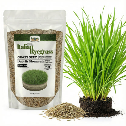 Wicked Tuff Turf Italian Ryegrass Seed