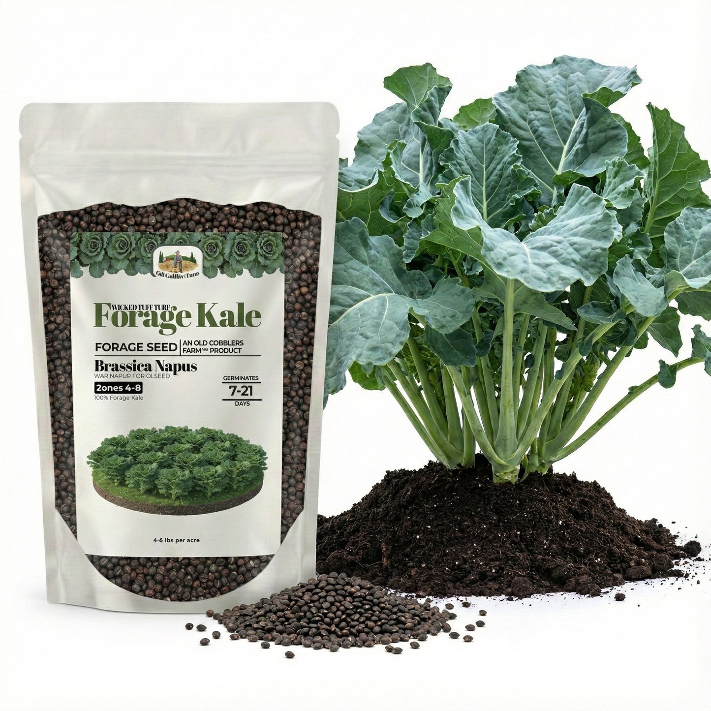 Wicked Tuff Turf Kale Seed