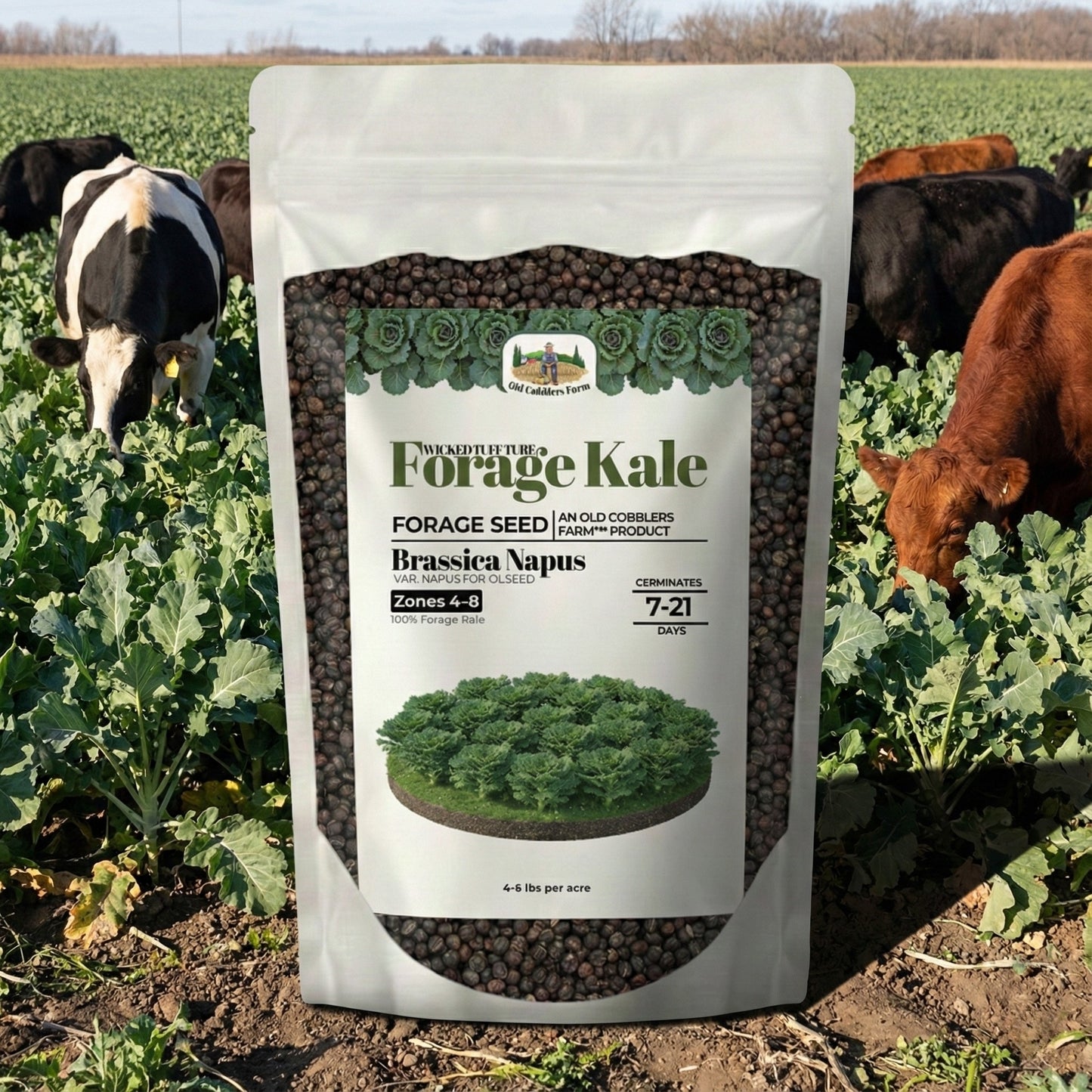 Wicked Tuff Turf Kale Seed