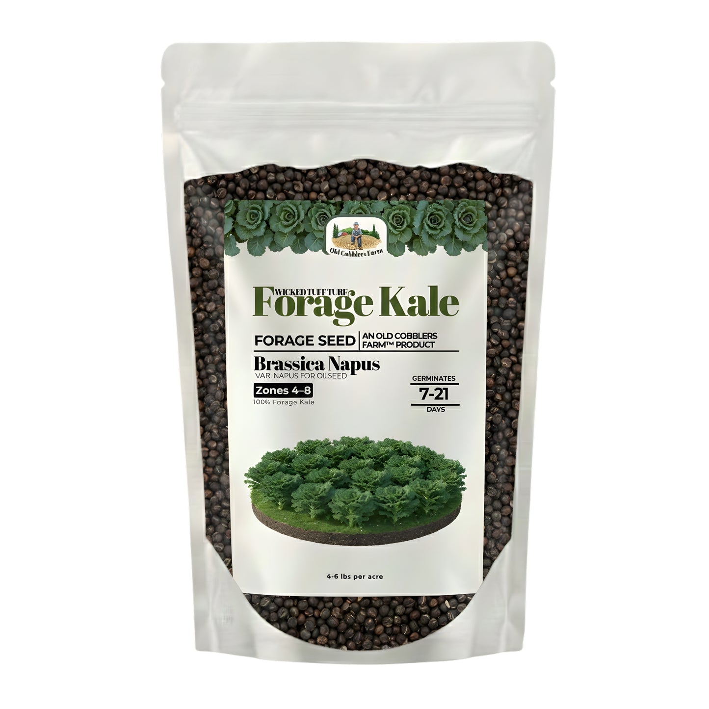 Wicked Tuff Turf Kale Seed