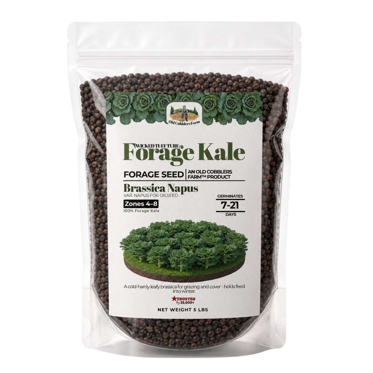 Wicked Tuff Turf Kale Seed - Old Cobblers Farm