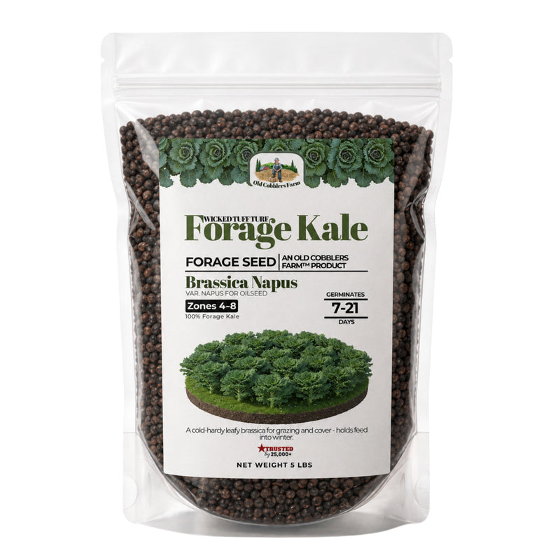 Wicked Tuff Turf Kale Seed - Old Cobblers Farm