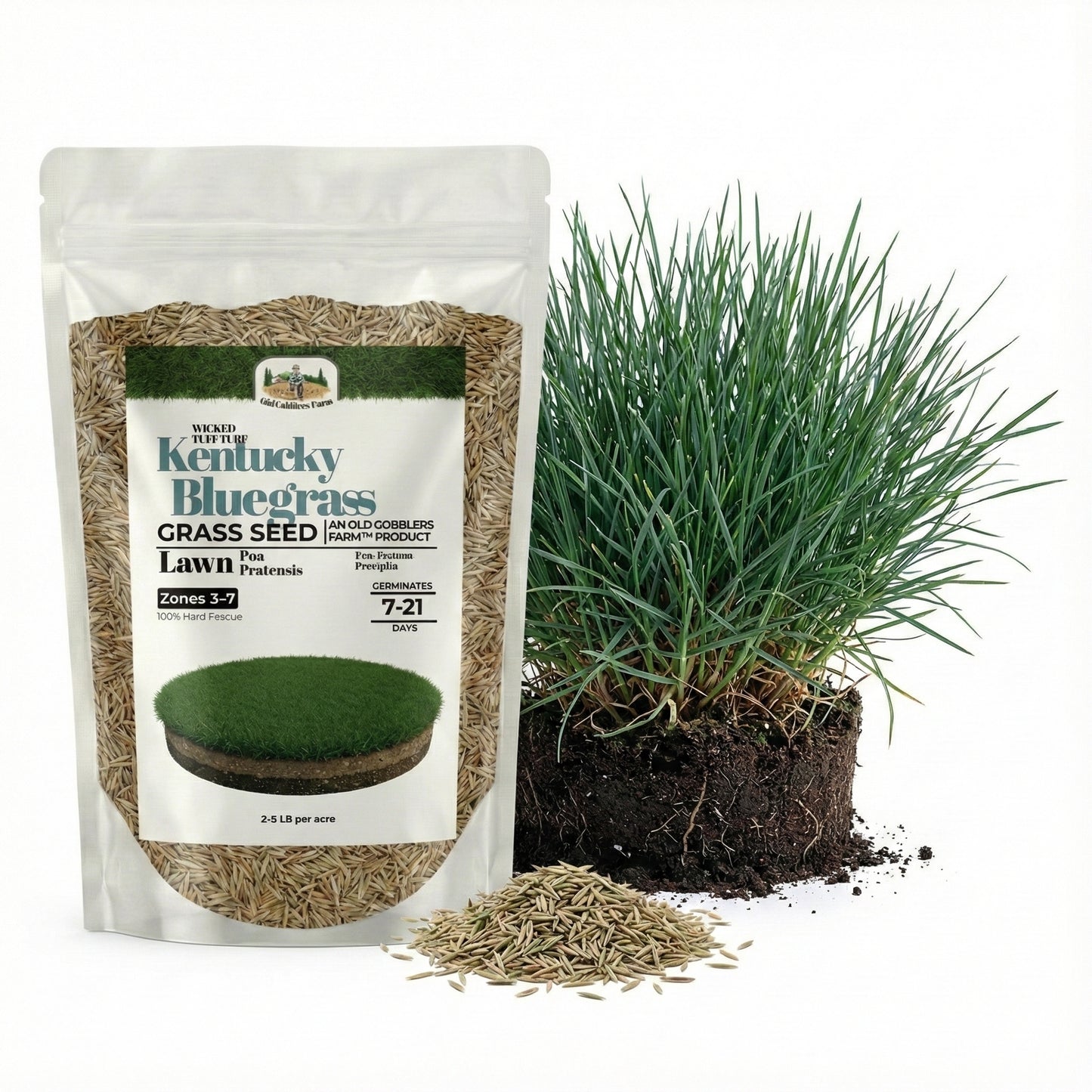 Wicked Tuff Turf Kentucky Bluegrass Seed