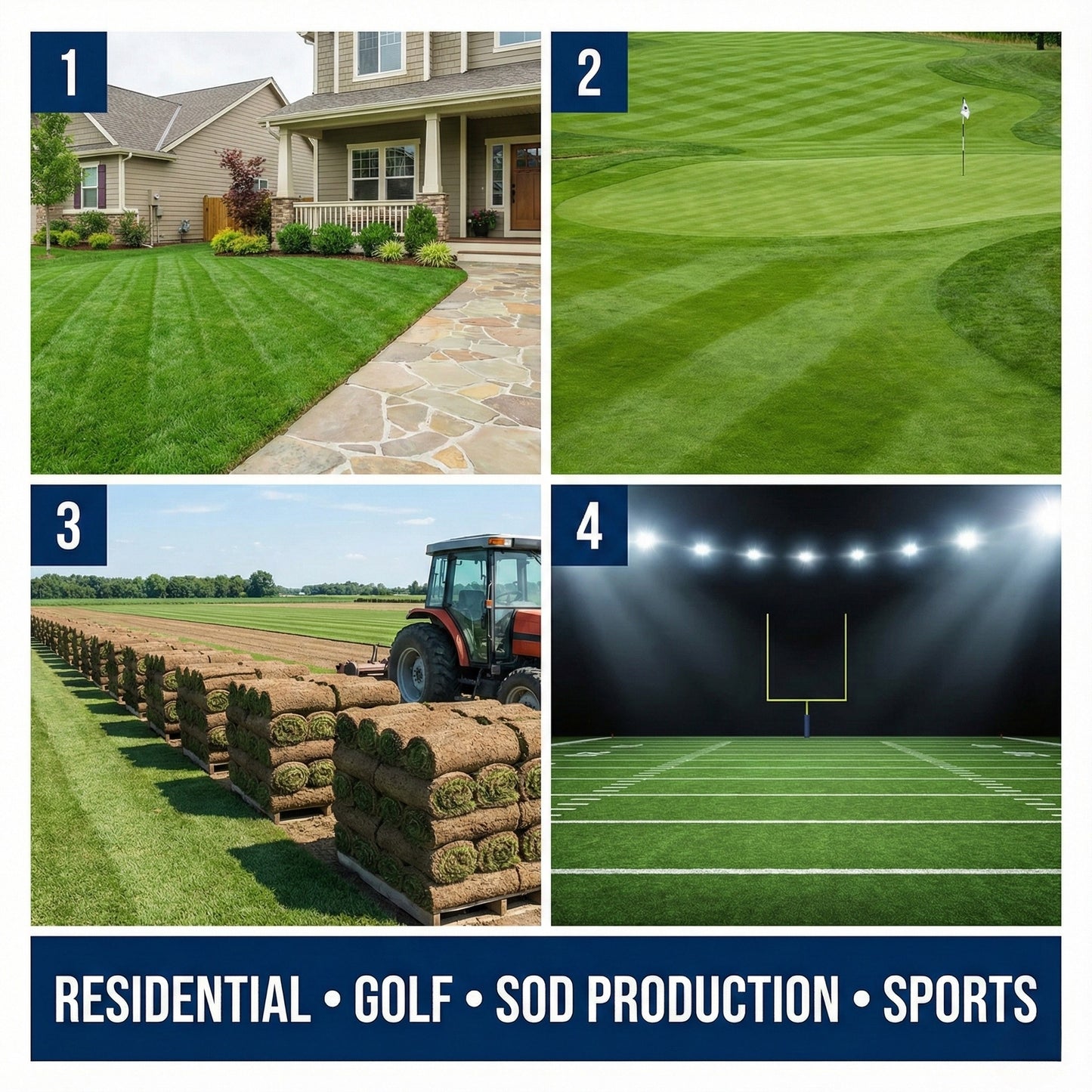 Wicked Tuff Turf Kentucky Bluegrass Seed