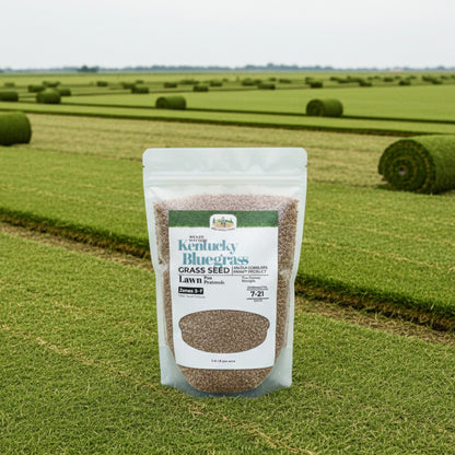 Wicked Tuff Turf Kentucky Bluegrass Seed