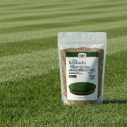 Wicked Tuff Turf Kentucky Bluegrass Seed