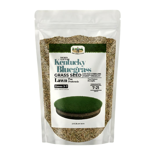 Wicked Tuff Turf Kentucky Bluegrass Seed