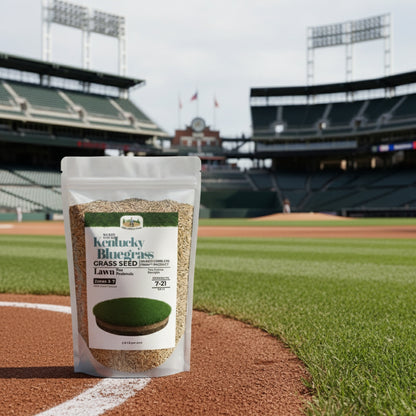 Wicked Tuff Turf Kentucky Bluegrass Seed