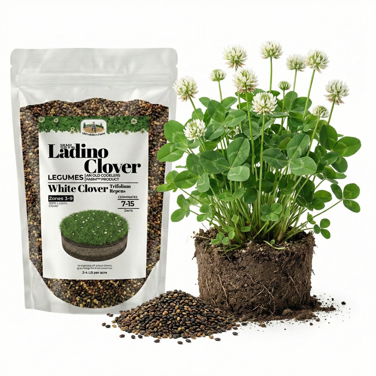 Wicked Tuff Turf Ladino Clover Seed