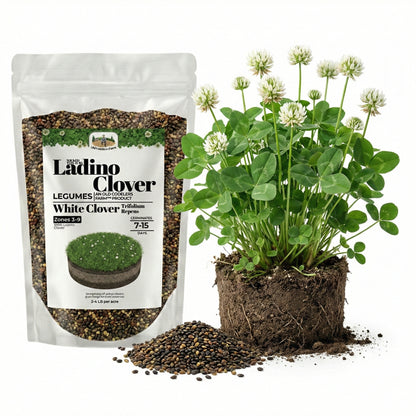 Wicked Tuff Turf Ladino Clover Seed