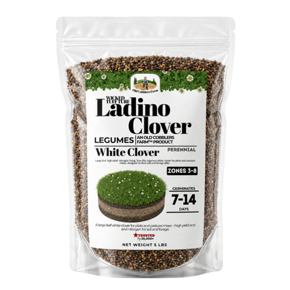 Wicked Tuff Turf Ladino Clover Seed - Old Cobblers Farm