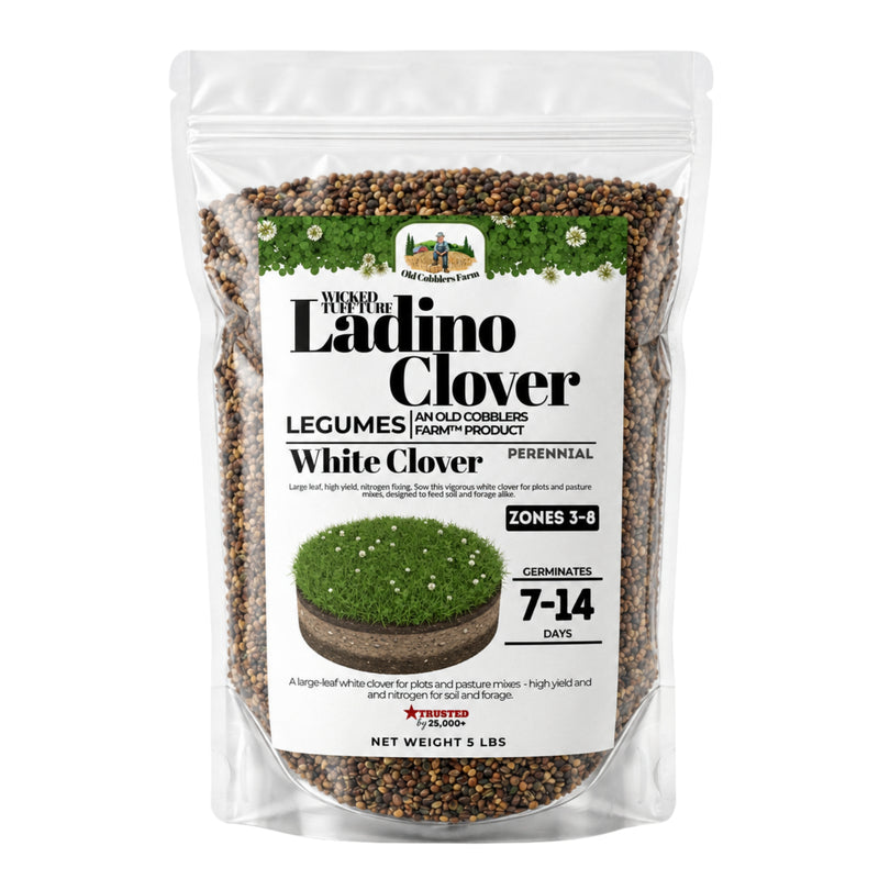 Wicked Tuff Turf Ladino Clover Seed - Old Cobblers Farm