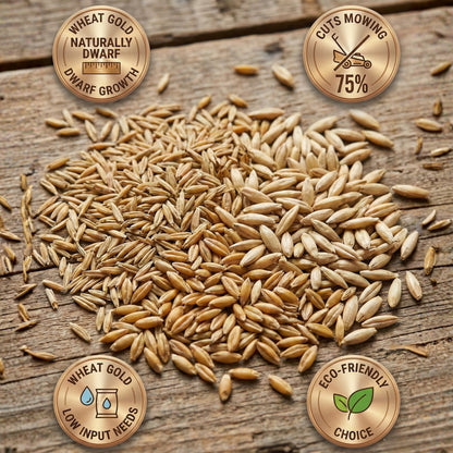 Wicked Tuff Turf Low Grow Seed Mix