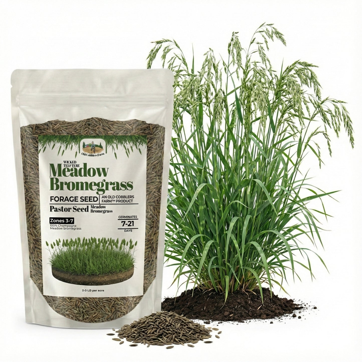 Wicked Tuff Turf Bromegrass Seed - Meadow