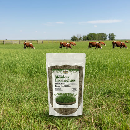 Wicked Tuff Turf Bromegrass Seed - Meadow