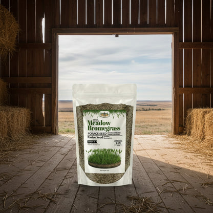 Wicked Tuff Turf Bromegrass Seed - Meadow
