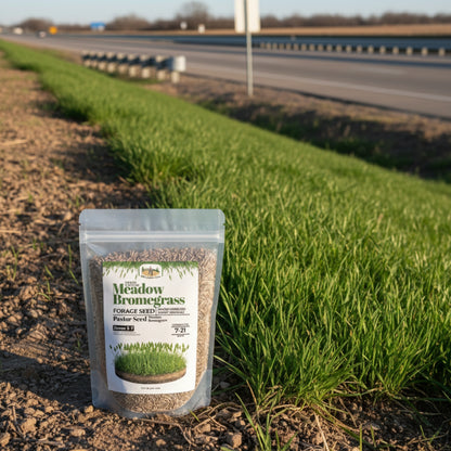 Wicked Tuff Turf Bromegrass Seed - Meadow
